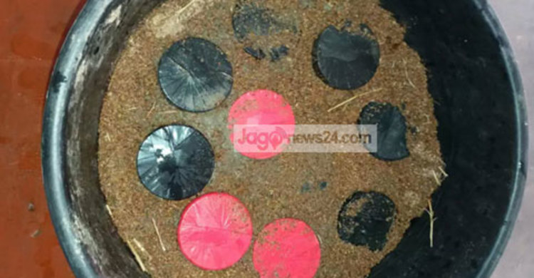 শিবগঞ্জ সীমান্ত থেকে ১৮ ককটেল উদ্ধার