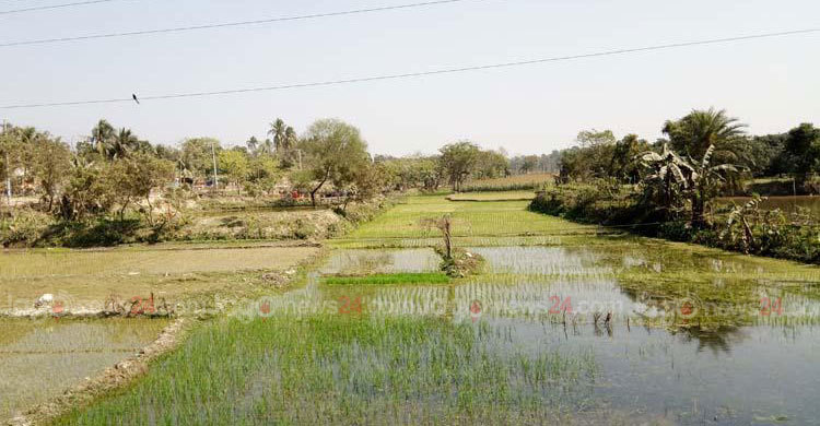 ভূমিদস্যুরা গিলে খাচ্ছে করতোয়া ও ভৈরব