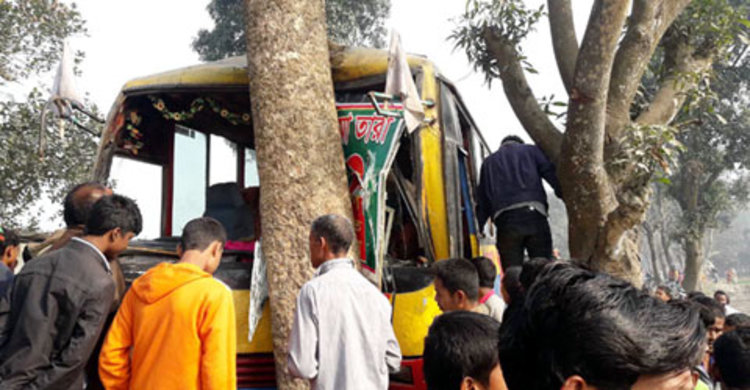 নিয়ন্ত্রণ হারিয়ে গাছের সঙ্গে বাসের ধাক্কা, আহত ২৫