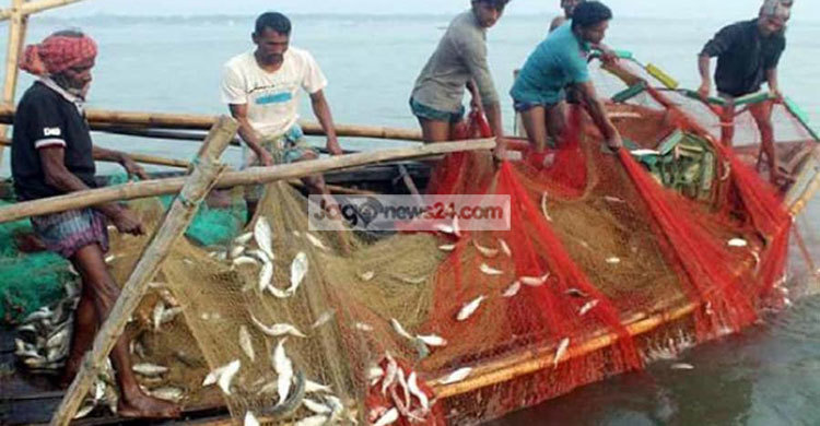 আজ থেকে পদ্মা-মেঘনায় দুই মাস মাছ ধরা নিষিদ্ধ
