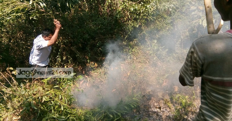 Forest-Fire-News-Pic2