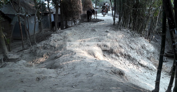 ৭৮ কিলোমিটার বাঁধের ১০০টি স্থান ঝুঁকিপূর্ণ