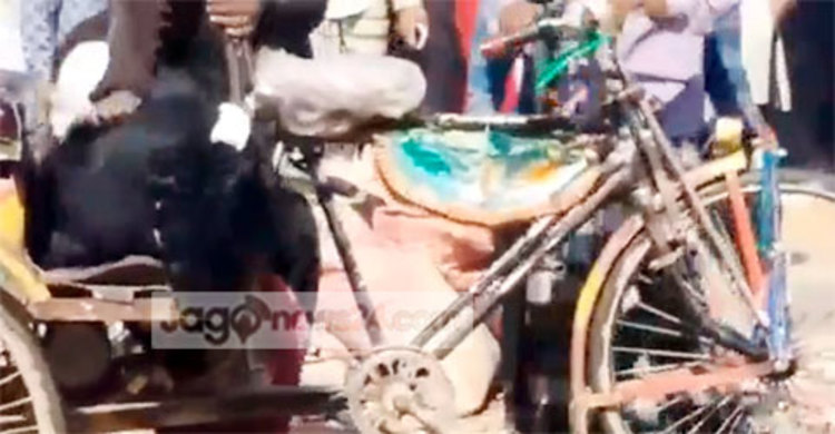 শ্রীপুরে স্ত্রীকে রাস্তায় ফেলে পেটানোর ঘটনায় মামলা