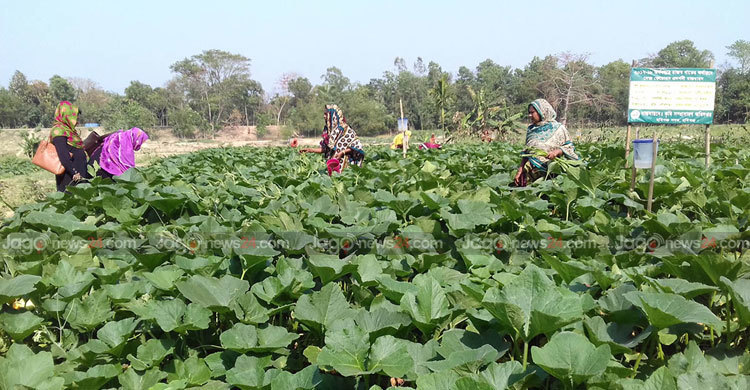 স্বপ্ন বাস্তবায়ন করছেন তারা