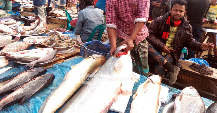 এক বোয়ালের দাম ৮০ হাজার টাকা