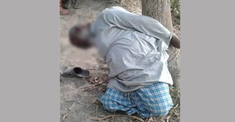 গাছের সঙ্গে বাঁধা বৃদ্ধের মরদেহ উদ্ধার