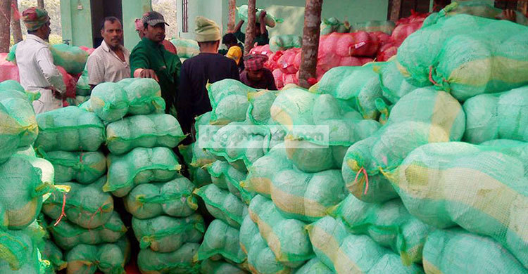 তাইওয়ান গেল যশোরের বাঁধাকপি