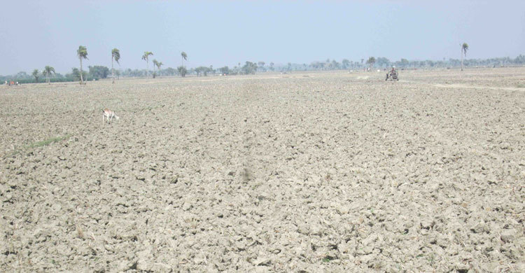খালের পানিতে তাকিয়ে হাজারো কৃষক