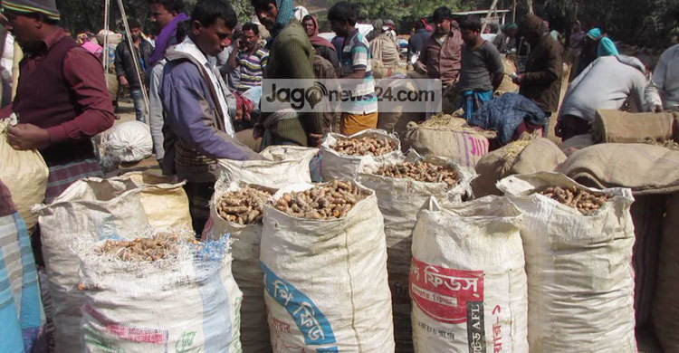 Jhenidah-Holud-photo3