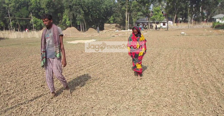 Jhenidah-Holud-photo4