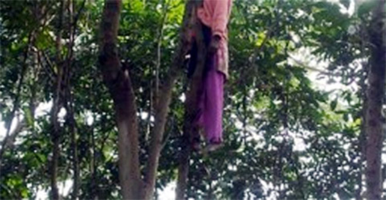 বরই গাছে ঝুলছে স্ত্রীর লাশ, স্বামী উধাও
