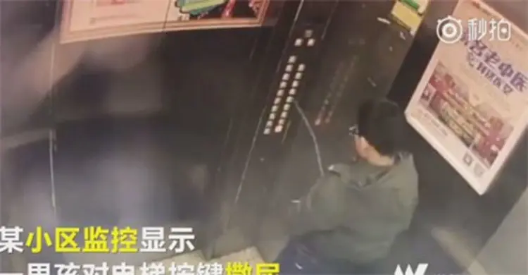 বাচ্চা ছেলের দুষ্টুমির ভিডিও দিয়ে বাবা-মাকে শেখাচ্ছে চীন