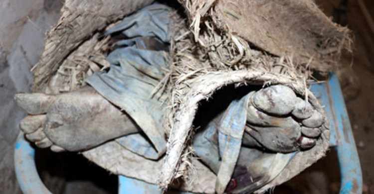 মাগুরায় গরুচোর সন্দেহে একজনকে পিটিয়ে হত্যা