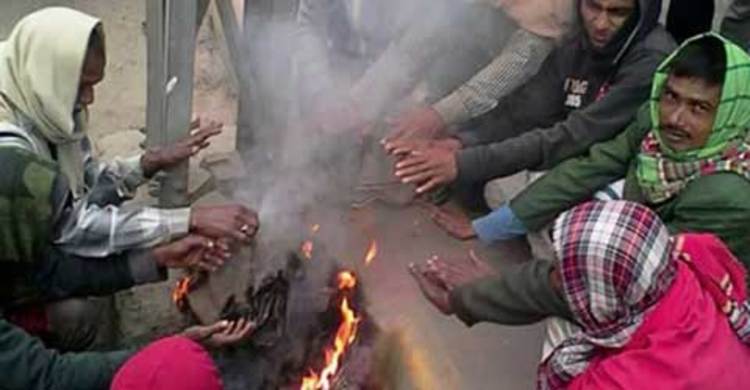 তীব্র শীতে বিপর্যস্ত নাটোরের জনজীবন