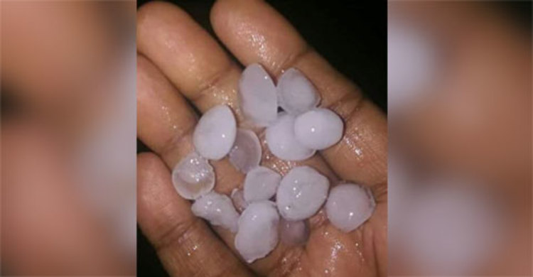 নাটোরে শিলা বৃষ্টি