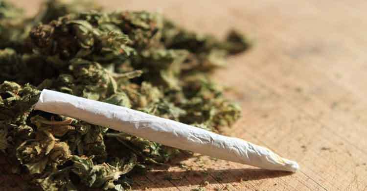 গাঁজাসহ দুই শিক্ষানবিশ কারারক্ষী আটক!