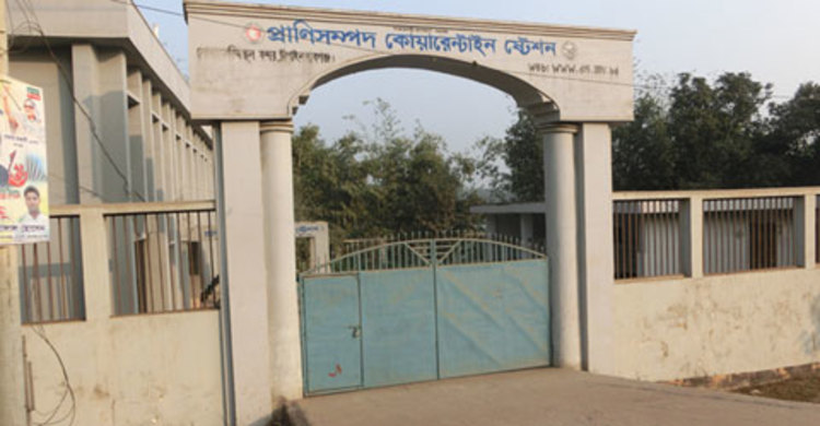 কাজে আসছে না দুই এনিমেল কোয়ারেন্টাইন স্টেশন