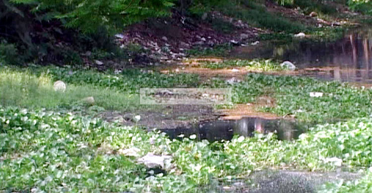 আশির্বাদ এখন অভিশাপ