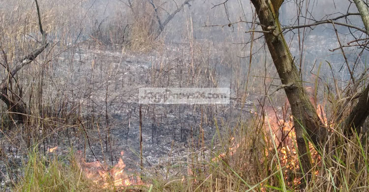 সিরাজগঞ্জে বঙ্গবন্ধু ইকোপার্কে আগুন