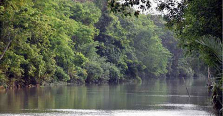 সুন্দরবনে মুক্তিপণের দাবিতে ৮ জেলে অপহরণ