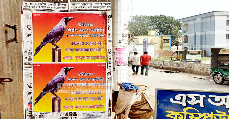 এবার টাঙ্গাইলে ‘কাউয়া মুক্ত আওয়ামী লীগ চাই’