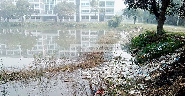 গবেষণার পুকুর আবর্জনার স্তূপ