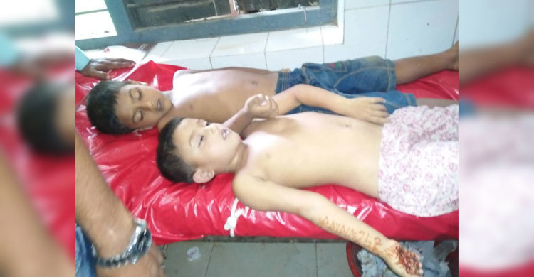 হাতে মেহেদী নিয়েই পুকুরে ডুবে গেল ভাই-বোন