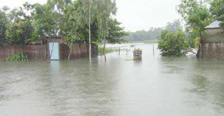 বিপদসীমার উপরে যমুনার পানি, ডুবেছে কৃষি জমি