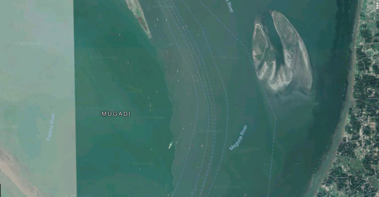 মেঘনায় ২৬টি গরুসহ ট্রলার ডুবি