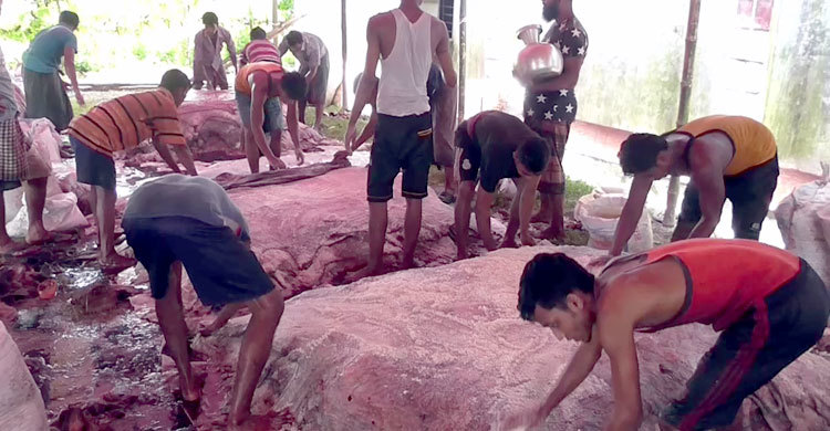 আশায় আশায় ধ্বংস হয়ে যাচ্ছি আমরা