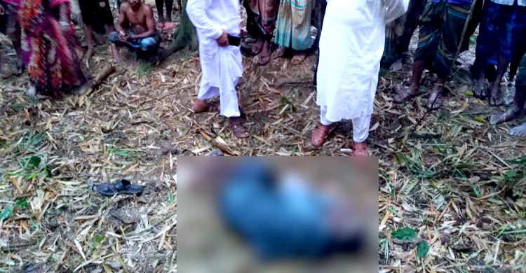বাঁশঝাড়ে বৃদ্ধের নিথর দেহ