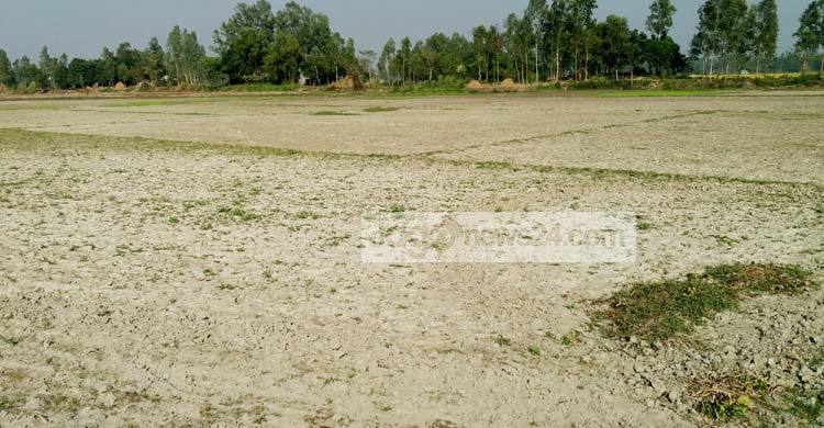 ‘খাস’ হয়ে গেছে ডিমলার শত শত একর জমি