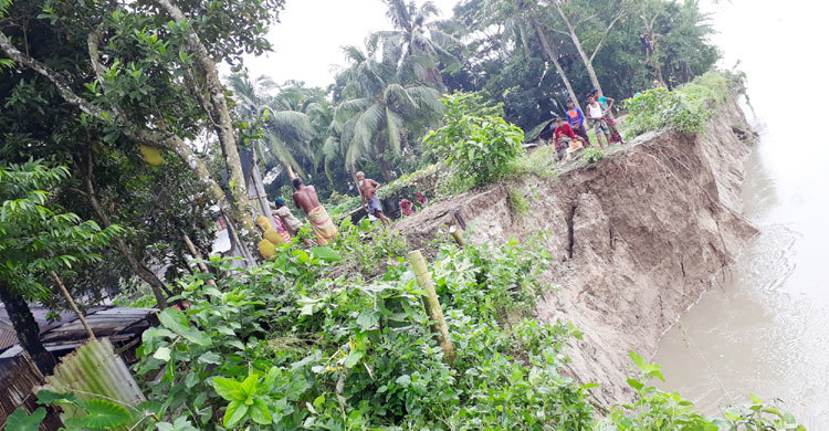 নদী ভাঙনে দিশেহারা মানুষ