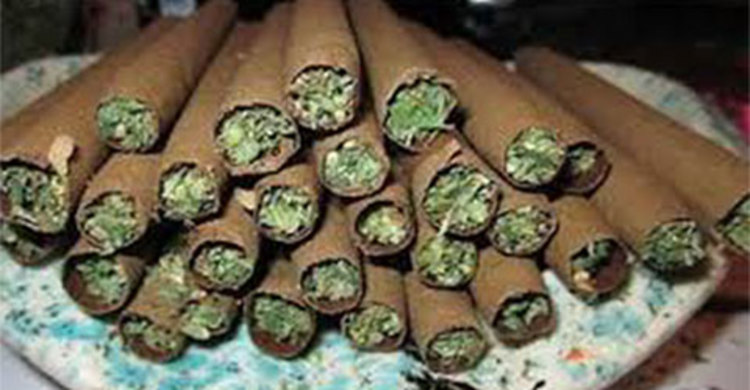 গাঁজা সেবনের সময় চিকিৎসক ধরা