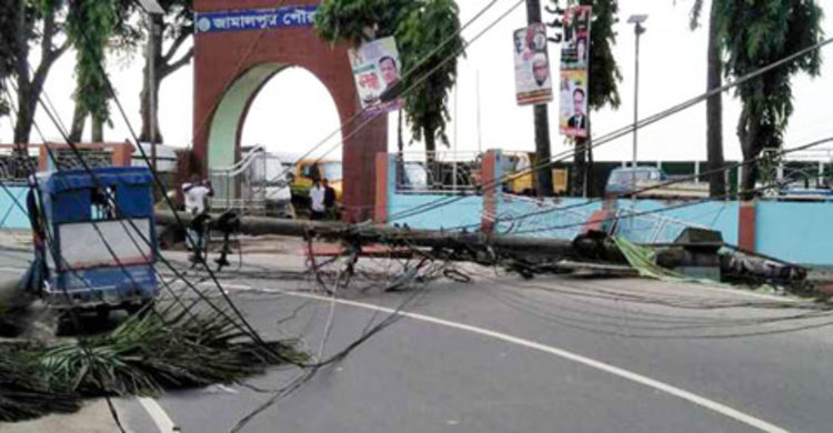 অটোরিকশার ওপর ভেঙে পড়ল গাছ, প্রাণ গেলো যাত্রীর