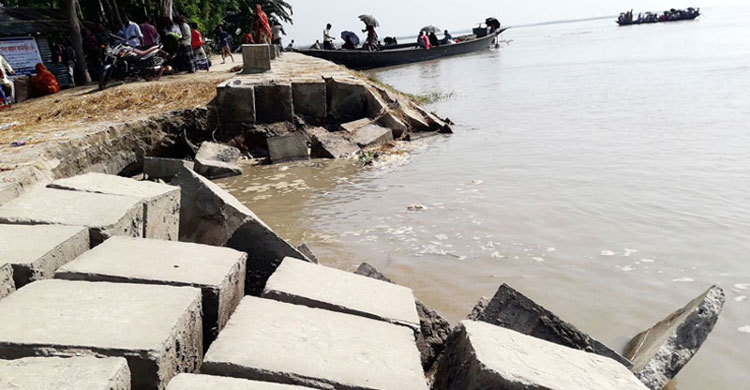 জামালপুরে যমুনার বাঁধে ধস