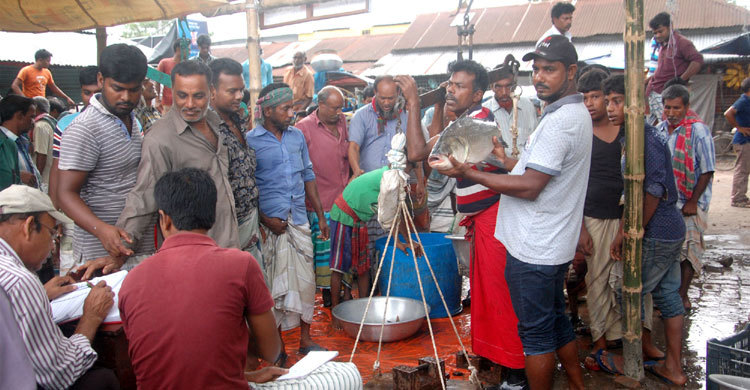 মাছের আড়ত বদলে দিয়েছে চাষিদের ভাগ্য