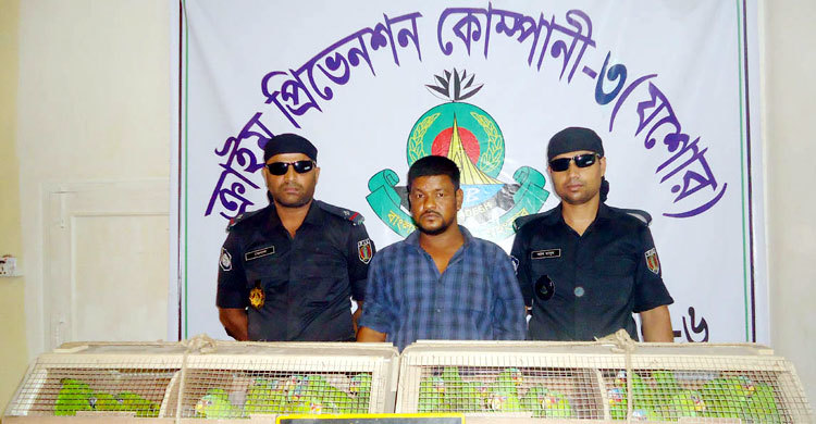 যশোরে বন্য পাখিসহ পাচারকারী আটক