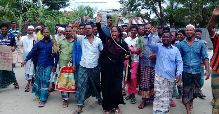 কুয়াকাটায় কয়েকশ’ একর জমিতে ফলন না হওয়ার আশঙ্কা