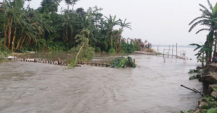 কুড়িগ্রামে ৬০ হাজার মানুষ পানিবন্দি
