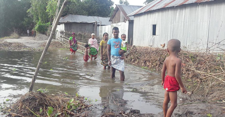 তিস্তার পানিতে ৫ শতাধিক পরিবার বন্দী