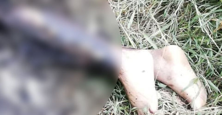 অঙ্গার মরদেহটি কার?