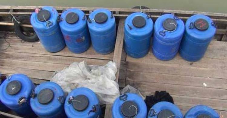 পটুয়াখালীতে সাড়ে ৪ লাখ বাগদা চিংড়ির রেণু জব্দ