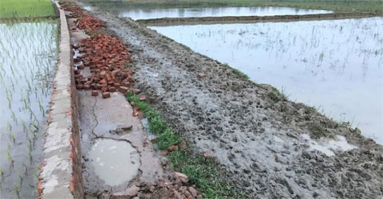 ‘কাজ করার দরকার কী?’