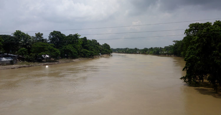 প্রতি বছর ডোবালেও নেই খননের উদ্যোগ