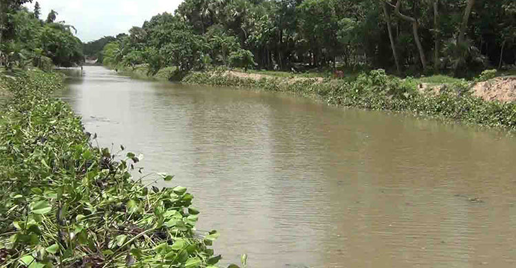 প্রাণ ফিরছে তুলশীগঙ্গায়