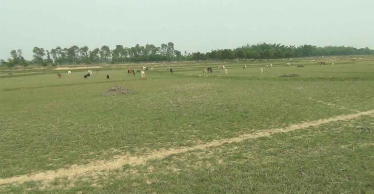 এক ফোঁটা বৃষ্টির জন্য হাহাকার