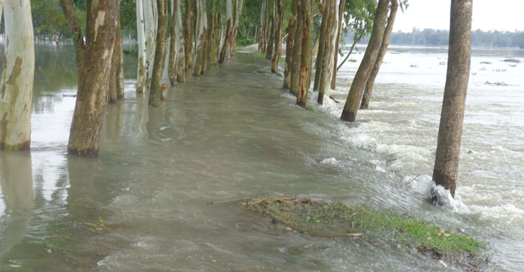 নীলফামারীতে সার্বক্ষণিক দায়িত্বে পাউবো কর্মকর্তা-কর্মচারীরা