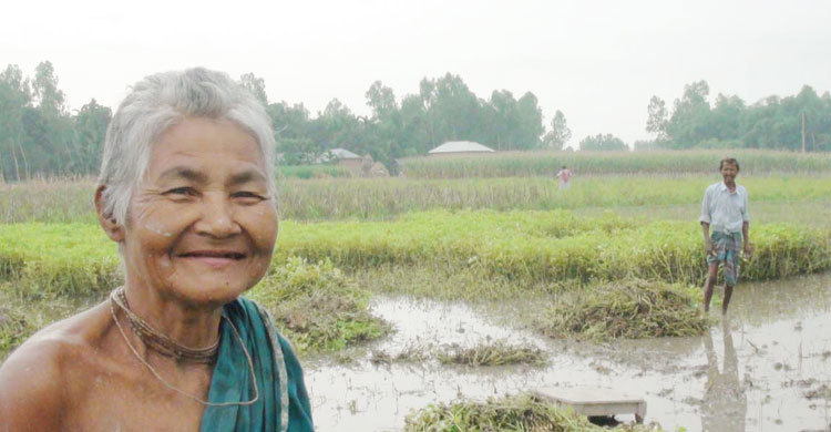 বাদামে দিশেহারা পঞ্চগড়ের চাষিরা