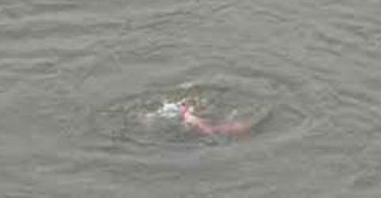 দুই স্কুলছাত্রীর করুণ মৃত্যু